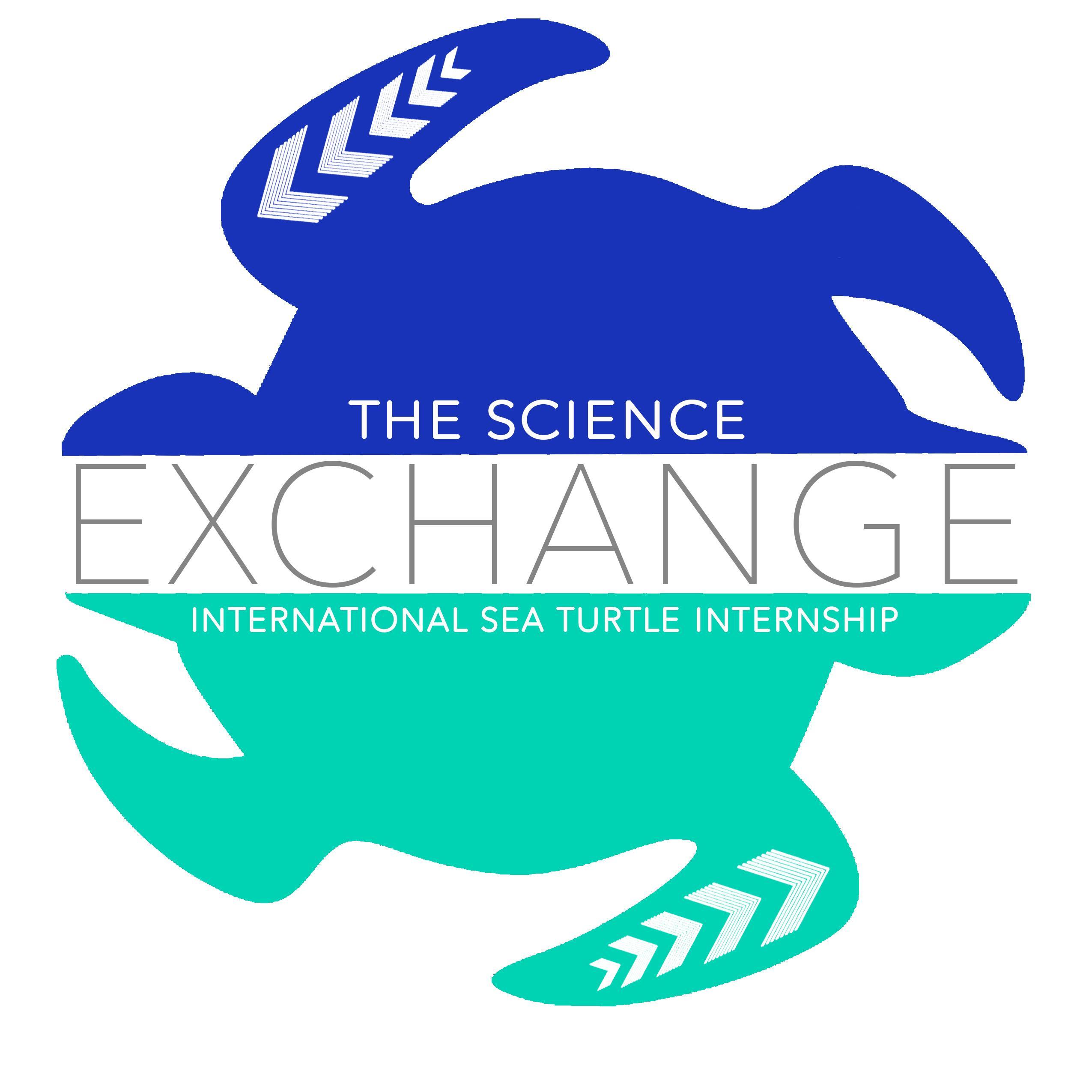 Our non-profit creates sea turtle research internships in Latin America and the Caribbean.