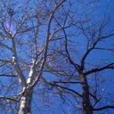 Brian Cunningham - @forester3991 - Twitter