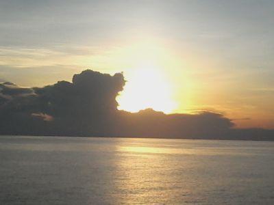 AminHadiri's profile picture. 