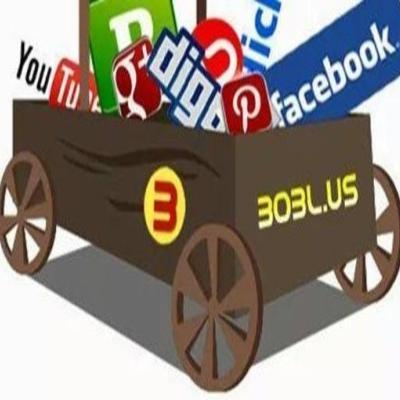 BOBLUSinfo's profile picture. 