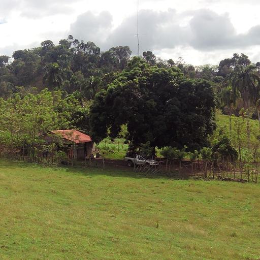 Nucle777's profile picture. 