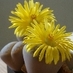 Sibylle Peter (@persillie) Twitter profile photo Sibylle Peter (@persillie) Twitter profile photo