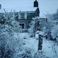exquisite cottage(@ExCottCreations) 's Twitter Profile Photo
