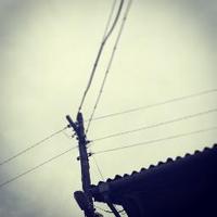 派對咖孔明 (@viisi) 's Twitter Profile