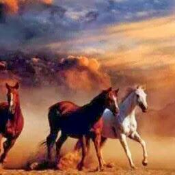 31a3a30acbc5470's profile picture. WARD SAUDI CAFFEE ☕🤍
قهوة سعودية من بيشة • نكهة أصيلة
توصيل جدة نفس اليوم
وخارج جدة من 24 ساعة إلى 3 أيام
ادخل الرابط تحت وشوف كل حساباتنا ومتجرنا 👇