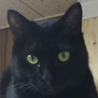 BoF_S's profile picture. 株式会社スプラッシュClaris FileMakerでシステム開発しています。働くお母さんです。