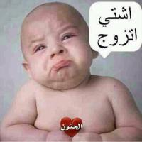 Ali AL.Hadi (@alihadi_2016) 's Twitter Profile