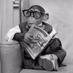 WhatWereComics (@whatwerecomics) Twitter profile photo WhatWereComics (@whatwerecomics) Twitter profile photo