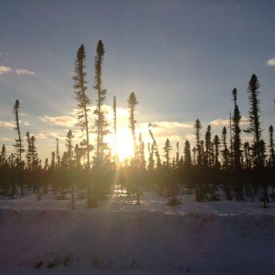 janetcoaster's profile picture. 