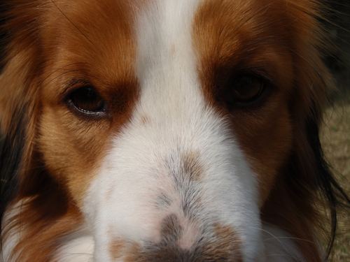 munakatabatayan's profile picture. 宗像市に住んでいる、普通のサラリーマンです。