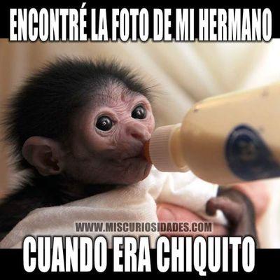 pedroluis885's profile picture. 