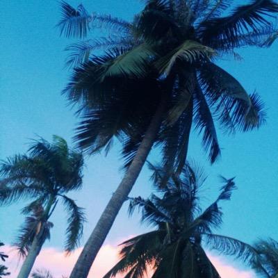 NatNrtn's profile picture. 