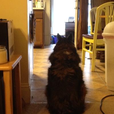 aksmth's profile picture. 