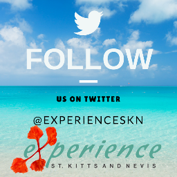 ExperienceSKN