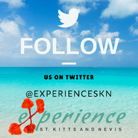 ExperienceSKN(@experienceskn) 's Twitter Profile Photo