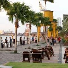 Company Specializing in the Dissemination and Promotion of the Amazon culture in the city of Belém / Pa.