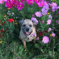 Dundridge Friends (@dundridgef) Twitter profile photo