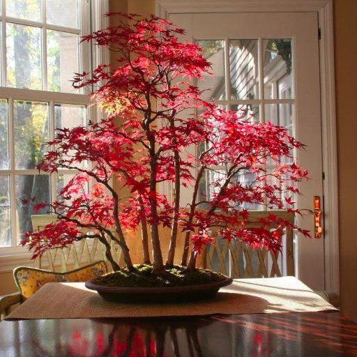 znp7's profile picture. Anarşist bir ruhum var anlatılmaz yaşanır:)