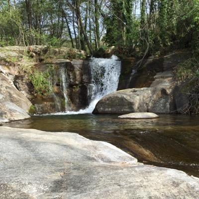 PicotasMontero's profile picture. 