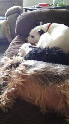 kathyhartman611's profile picture. home