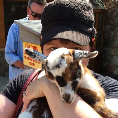 ndschwerin's profile picture. 