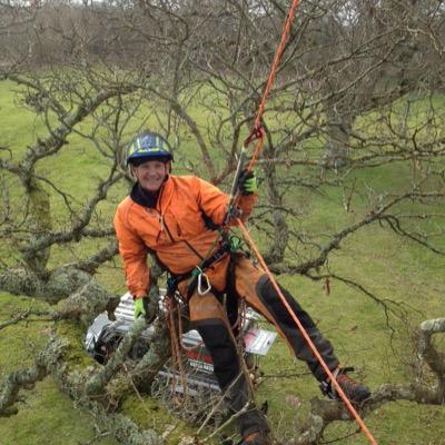 Chainsaw and Tree Climbing Instructor/ Lantra Training Standards Verifier