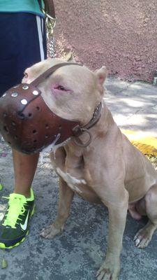 FSspdf's profile picture. solo la vida loka