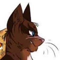 Hawkfeather (@hawk_of_dc) 's Twitter Profile