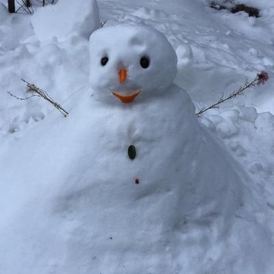 gongbingchen's profile image