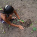 Preserve Hawaii (@preservehawaii) Twitter profile photo Preserve Hawaii (@preservehawaii) Twitter profile photo