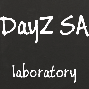 DayZLab's profile picture. We explore DayZ Standalone.