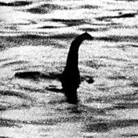 Loch Ness Monster(@RealNessie) 's Twitter Profile Photo