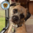 Pepper_theBT's profile image