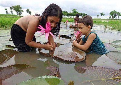 9c5a74c21225481's profile picture. 