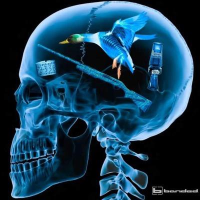 Ste_Lando71's profile picture. 