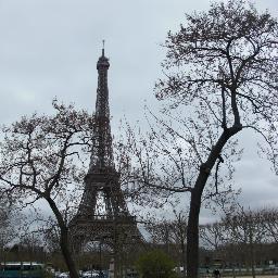 Paris is the world's best arboretum.                              Aux arbres, citoyens!