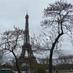 @TreesParis (@treesparis) Twitter profile photo @TreesParis (@treesparis) Twitter profile photo