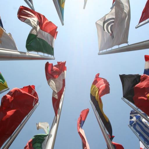 Messevideo's profile picture. 0341-24050817