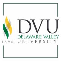 DelVal(@DelVal) 's Twitter Profileg