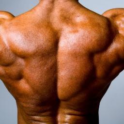 I'm Don Powell and I love every aspect of fitness, muscle building, supplements and related stuff - here (and also my site: http://t.co/gwgLUEwCXe