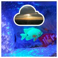 Σ£ Çαz (@el_caz) 's Twitter Profile Photo