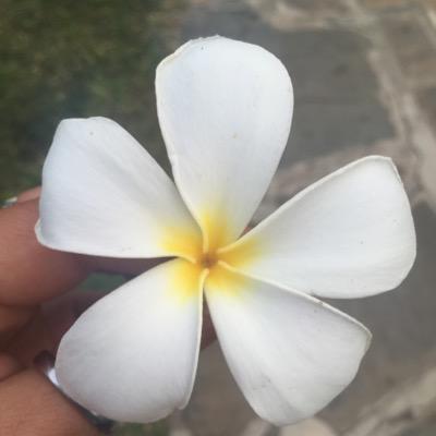 giogiogiogio72's profile picture. 