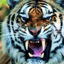Craig Garrison - @GarriStronghold - Twitter