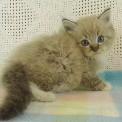 qweenj1's profile picture. 