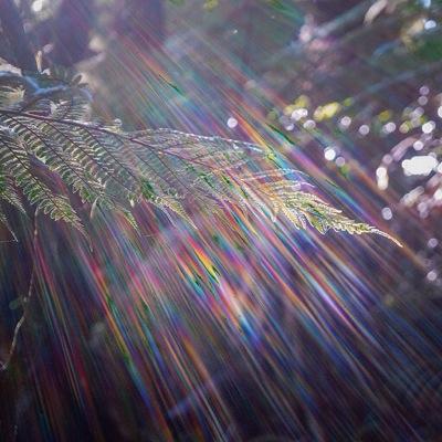 plznostop's profile picture. ilysb