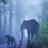 pix_earth's profile image