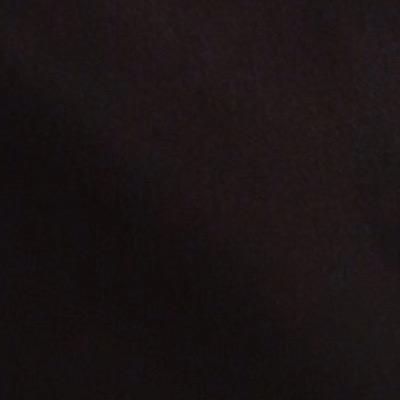 TomSpang's profile picture. 