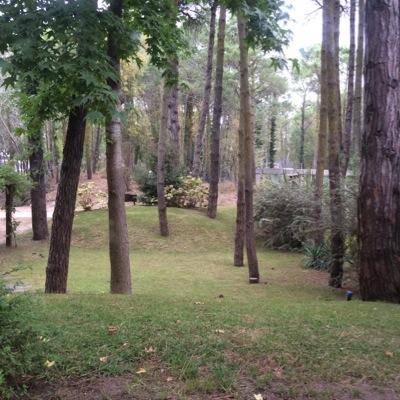 mariabattini's profile picture. 