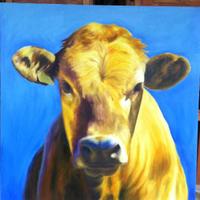 The Yellow Heifer (@yellowheifer) 's Twitter Profile