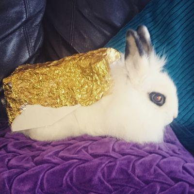 nancollector's profile picture. I am strong independent single mother of 5 who don't need no man